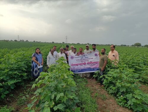 Guidance from Cotton Crop Demonstration Farm School Program at Dhamdai