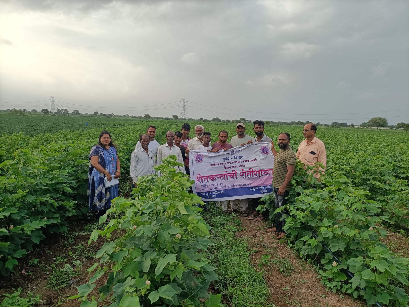 Guidance from Cotton Crop Demonstration Farm School Program at Dhamdai