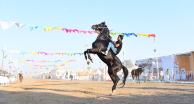 Chetak Festival Sarangkheda