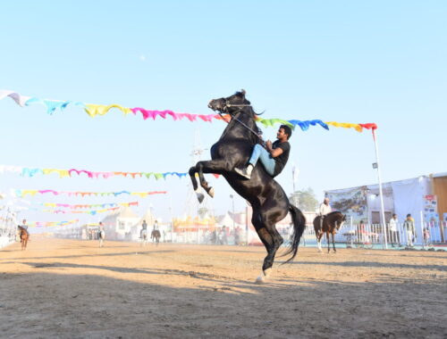 Chetak Festival Sarangkheda